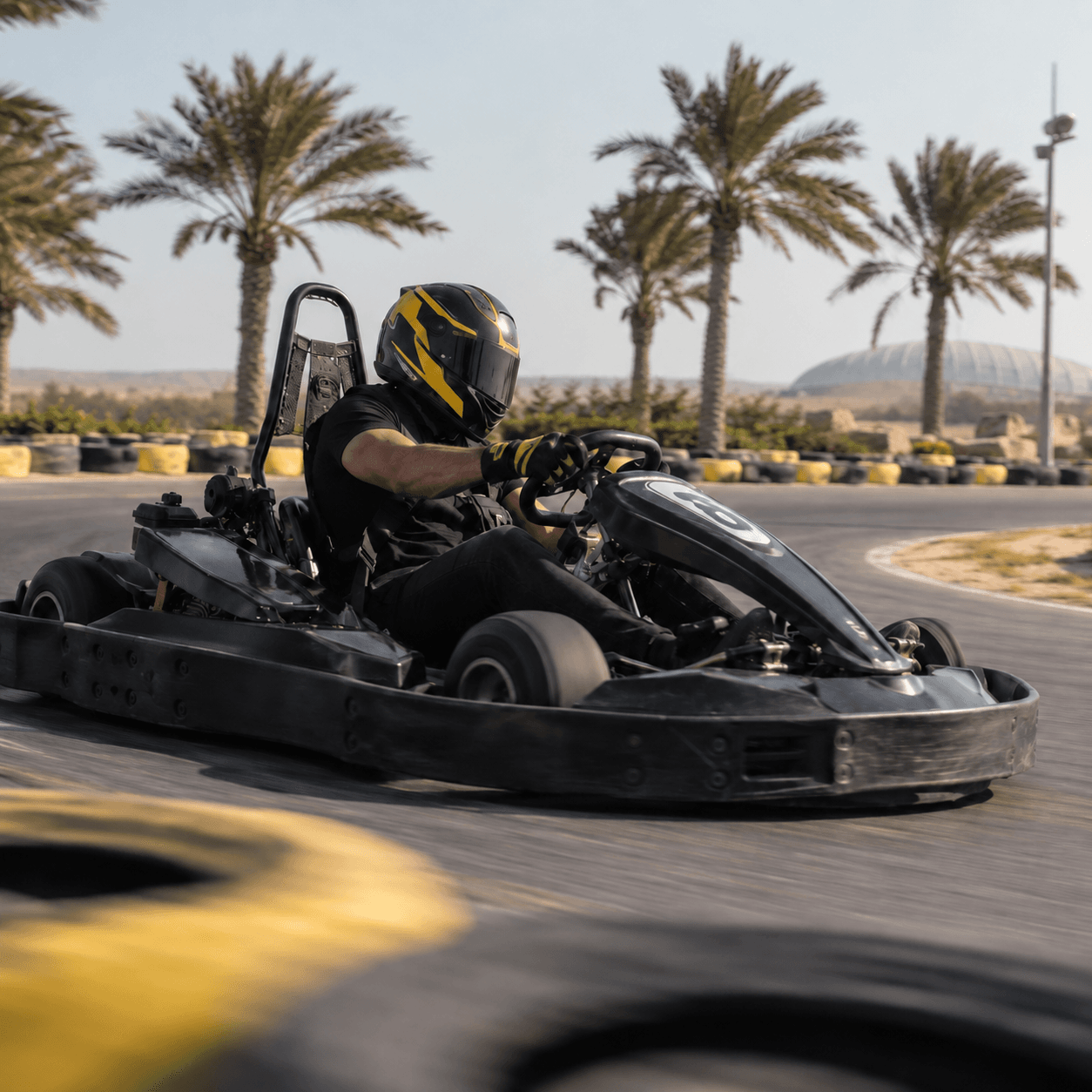 سافاری کیش با کارتینگ