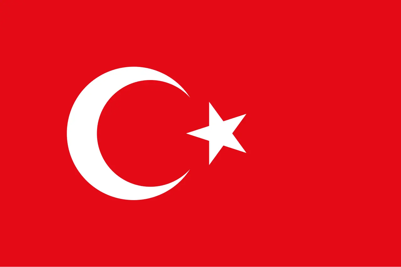 UAE Flag