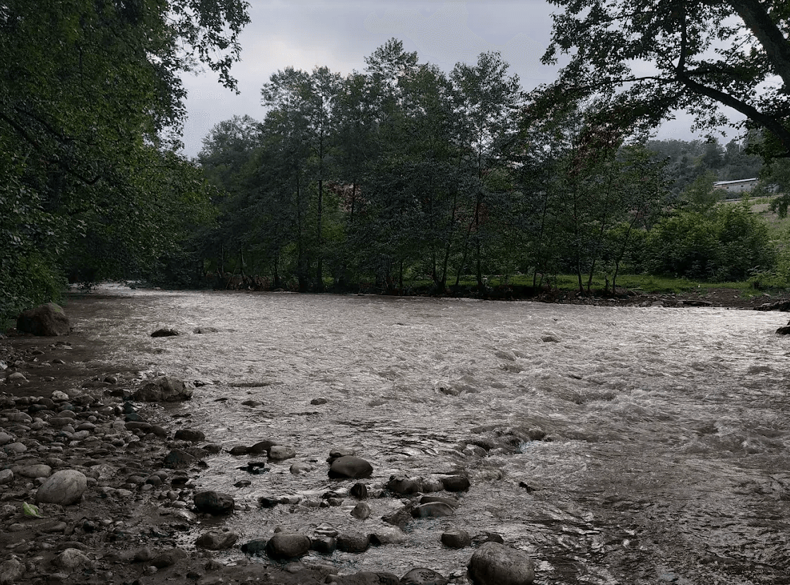 پارک جنگلی فین چالوس