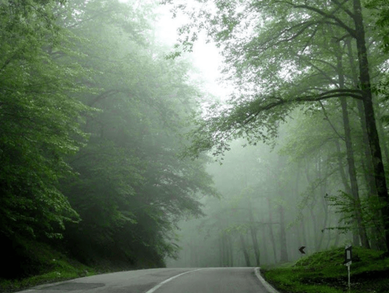 جنگلهای کلاردشت