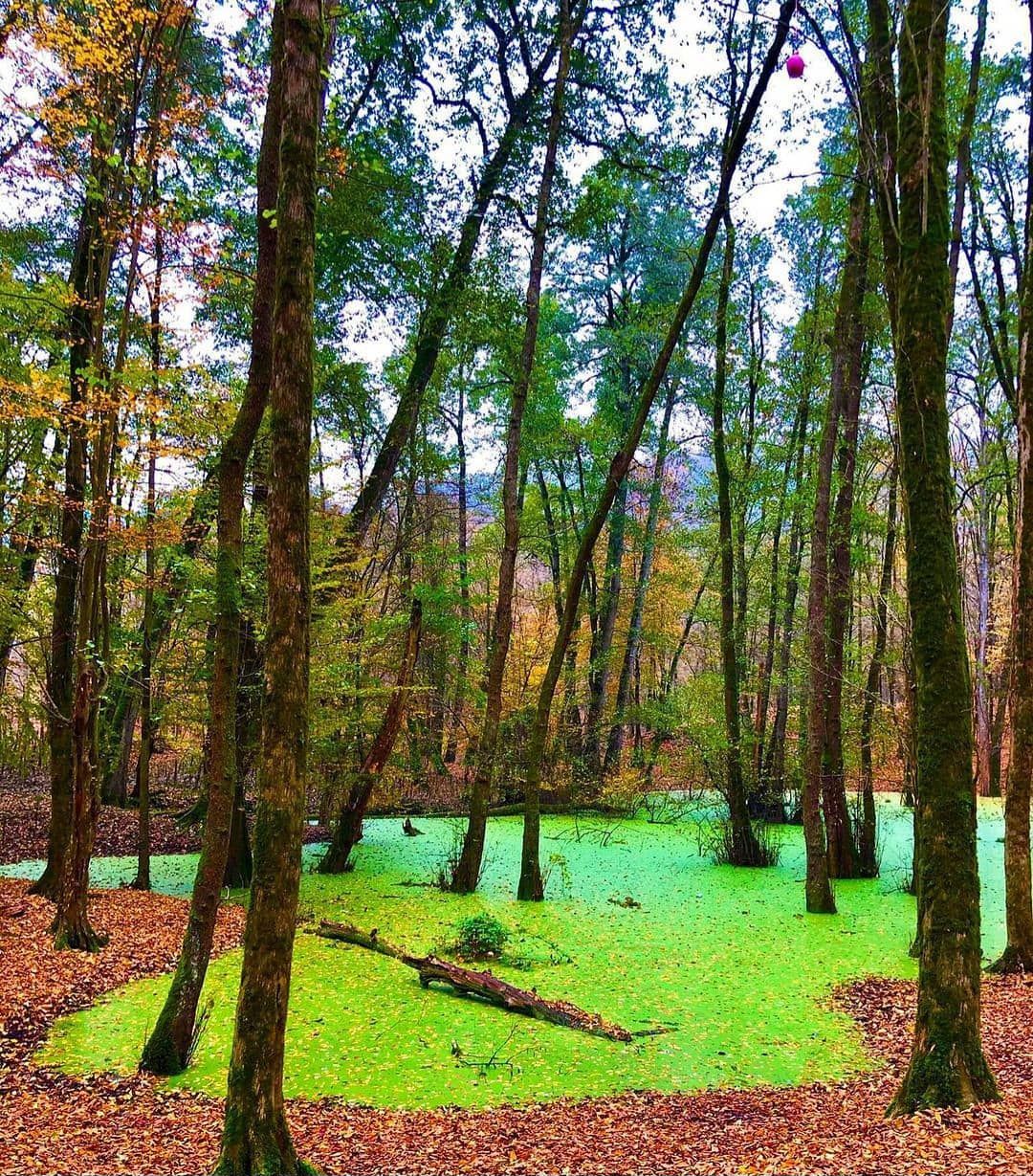 اجاره ویلا نوشهر