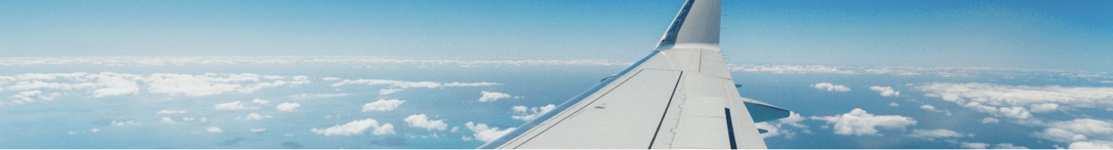 domestic flight