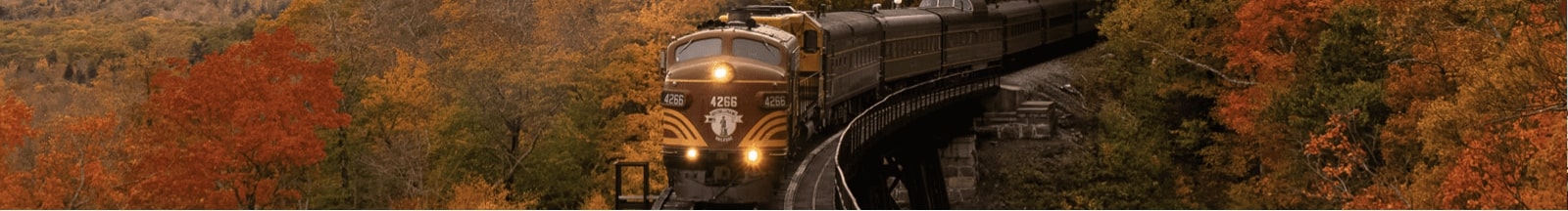 train