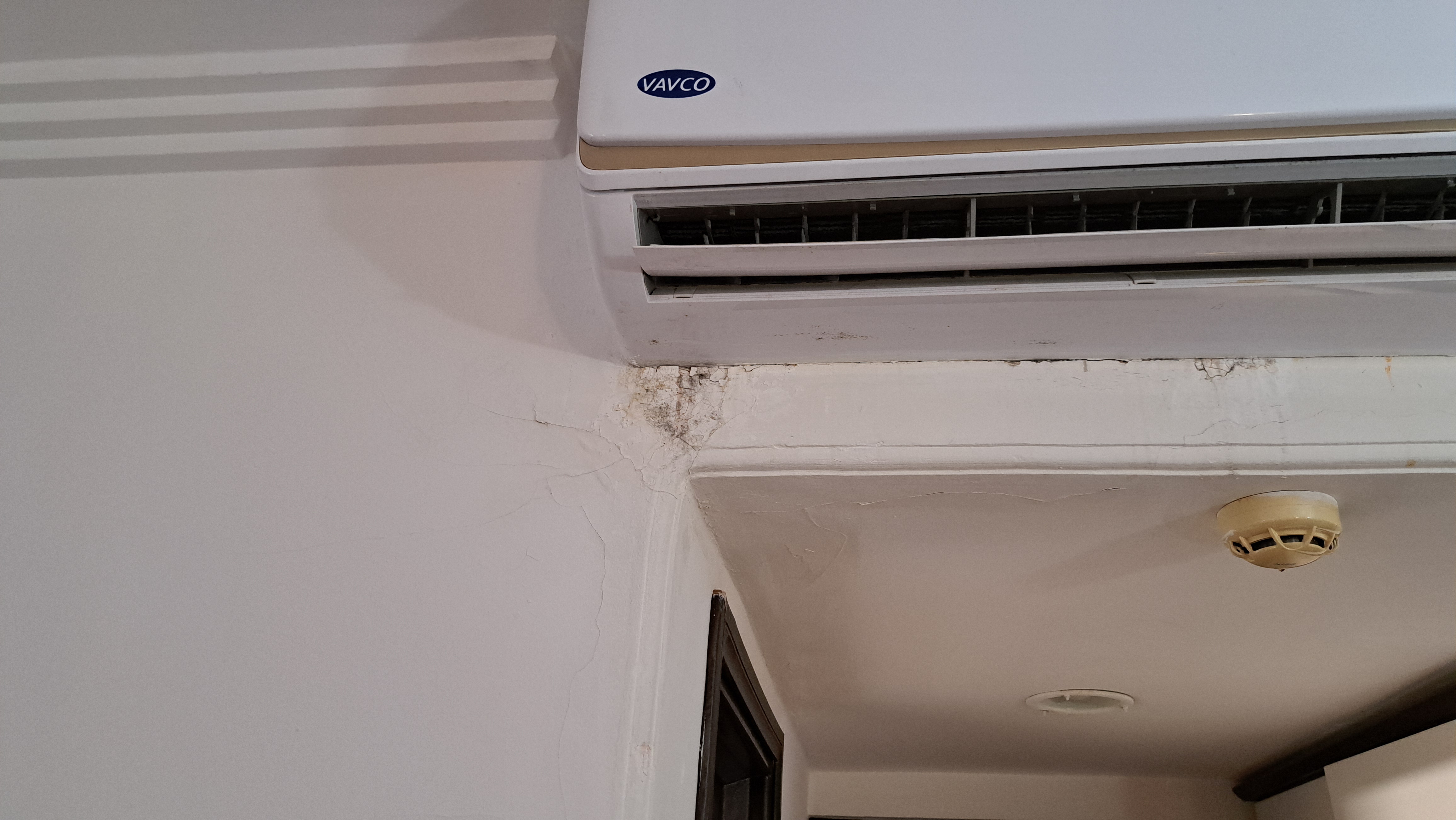 Alibaba https://cdn.alibaba.ir/ostorage-ugc/randd-threepio/legacy_photo_38538b694a210ae74669b15e4522b9363a139a117457dcdcf8be6818d4bd4145_1000068348.jpg?w=144