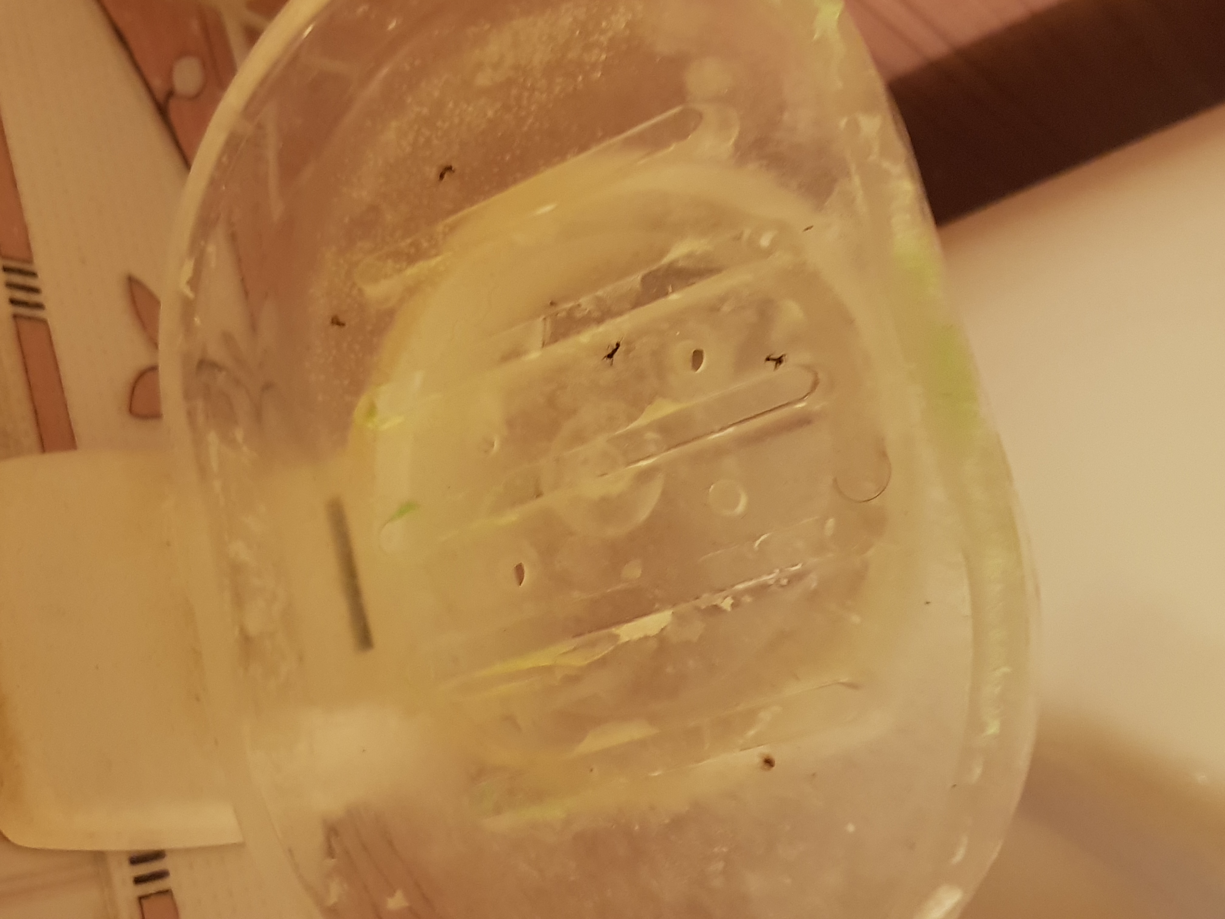 Alibaba https://cdn.alibaba.ir/ostorage-ugc/randd-threepio/legacy_photo_47843db4c7acd19aeb94bcc7cf1edbd43ac7e5d1b090a9c75b032730c845c3cc_20230114102514.jpg?w=144