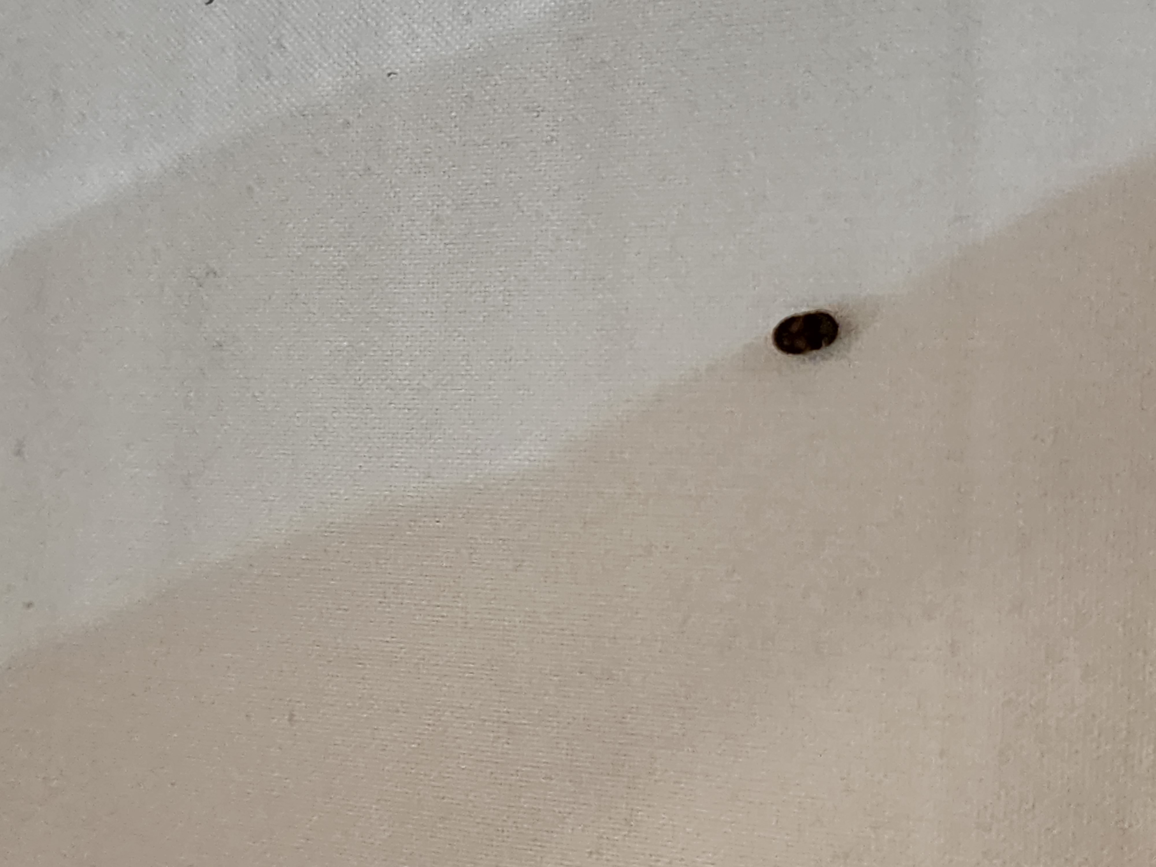 Alibaba https://cdn.alibaba.ir/ostorage-ugc/randd-threepio/legacy_photo_95e42a5a5bc51f664e9f9d4de2b418ecaca1fa72ea22a99964f5f776a4a44fec_20230924115027.jpg?w=144