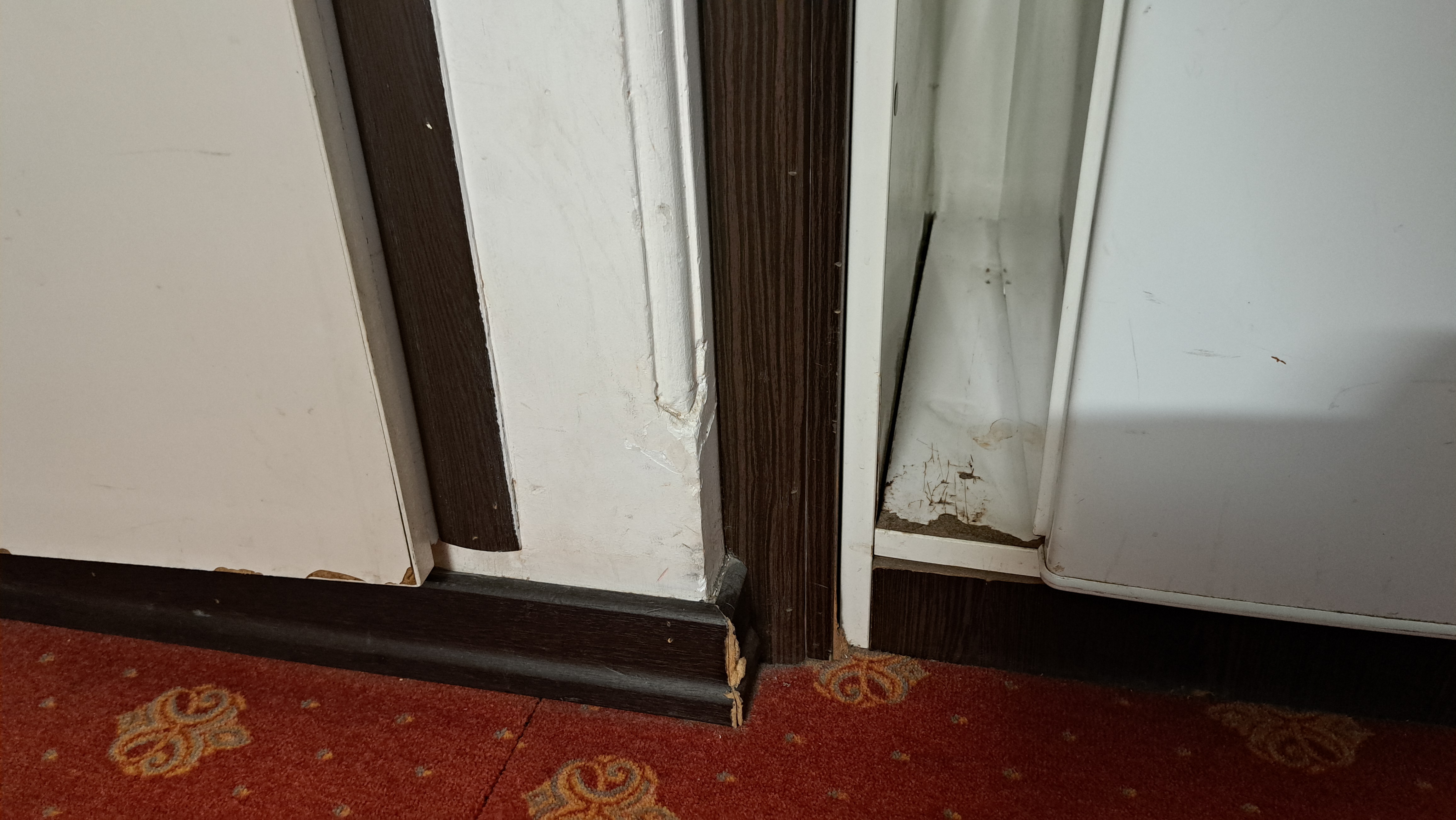 Alibaba https://cdn.alibaba.ir/ostorage-ugc/randd-threepio/legacy_photo_c90d194d9141b28baf0f6eac958b00e475c4819eeae42b815dd34b6077d18482_1000068349.jpg?w=144