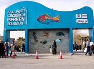 تونل آکواریم