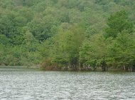 تصویر دریاچه سد سقالکسار