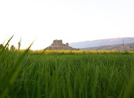 تصویر قلعه فین بندرعباس