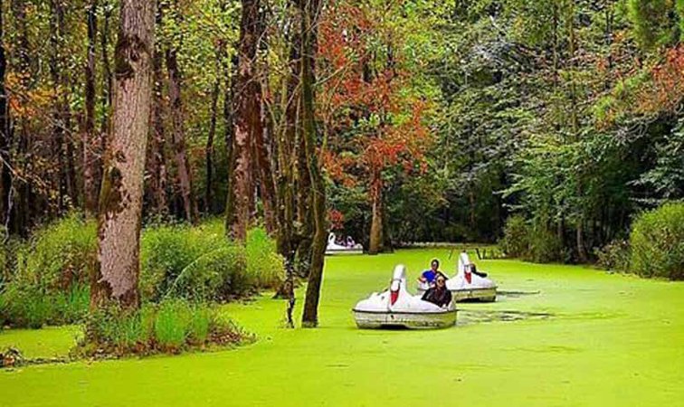 دریاچه پارک جنگلی سراوان
