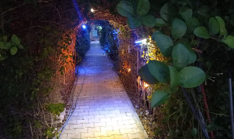 کافی شاپ شب های شیراز