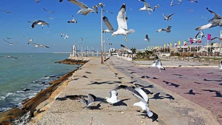 جاهای دیدنی بوشهر