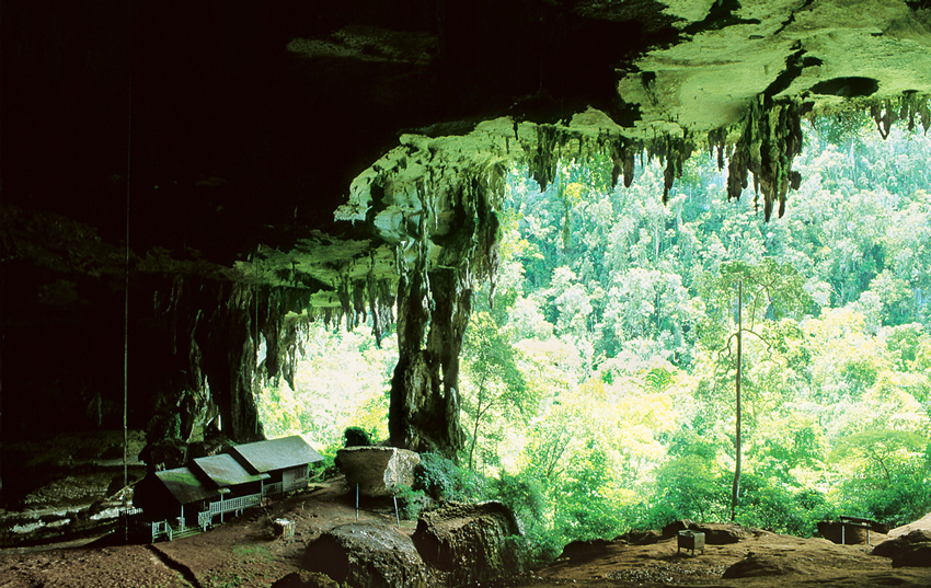 غارهای مولو مناطق گردشگری مالزی
