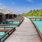 پنج نکته کاربردی که باید درباره مالدیو بدانید