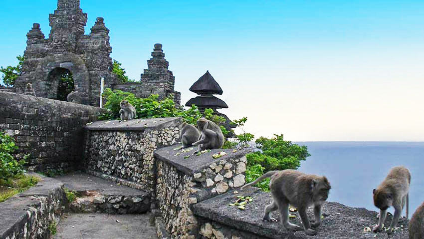 مکان های دیدنی بالی