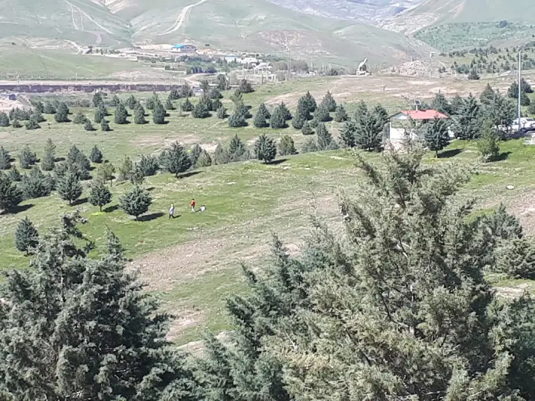 جاهای دیدنی قزوین؛ راهنمای سفر به شهر دروازهها 63 پارک جنگلی باراجین و دهکده طبیعت