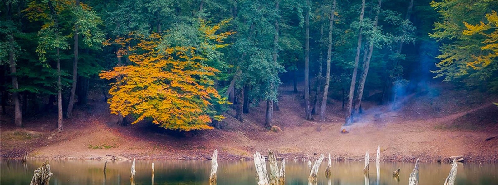 چمستان