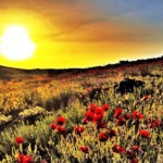 راهنمای سفر به اردبیل برای تجربه یک سفر خاطرهانگیز 76 راهنمای سفر به سرعین؛ گرمترین شهر سرد ایران