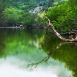 دریاچه شورمست: تاجی بر سر کوه‌های مازندران