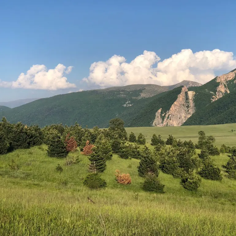 راهنمای سفر به گرگان