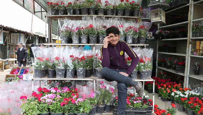 بازار گل محلاتی - فروشنده گل