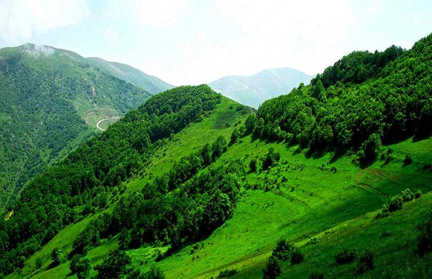 جنگل های ارسباران از جاهای دیدنی آذربایجان شرقی