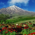 طبیعت گردی در نوروز : ۱۲ مقصد بی‌نظیر در چهار گوشه ایران