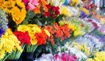 بازار گل محلاتی