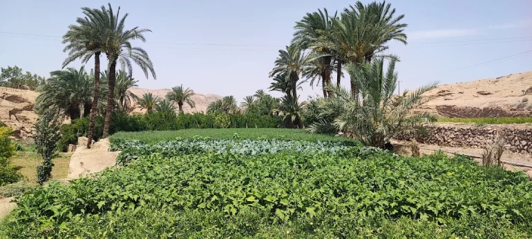 راهنمای سفر به طبس؛ با عروس کویرهای ایران آشنا شوید. 34 تخت عروس