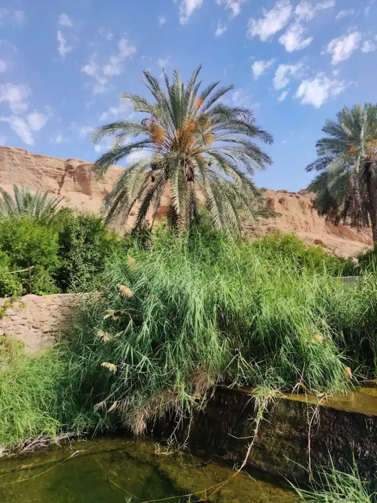 راهنمای سفر به طبس؛ با عروس کویرهای ایران آشنا شوید. 35 جاهای دیدنی طبس