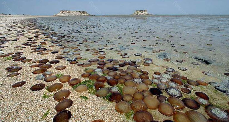 جاهای دیدنی ایران که حداقل یک بار باید ببینید 33 جاهای دیدنی جزیره