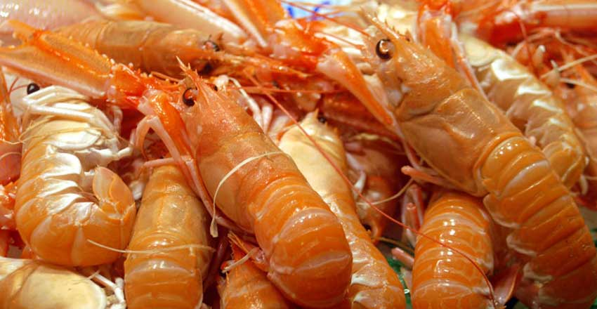 غذاهای دریایی گالیسیا در اسپانیا