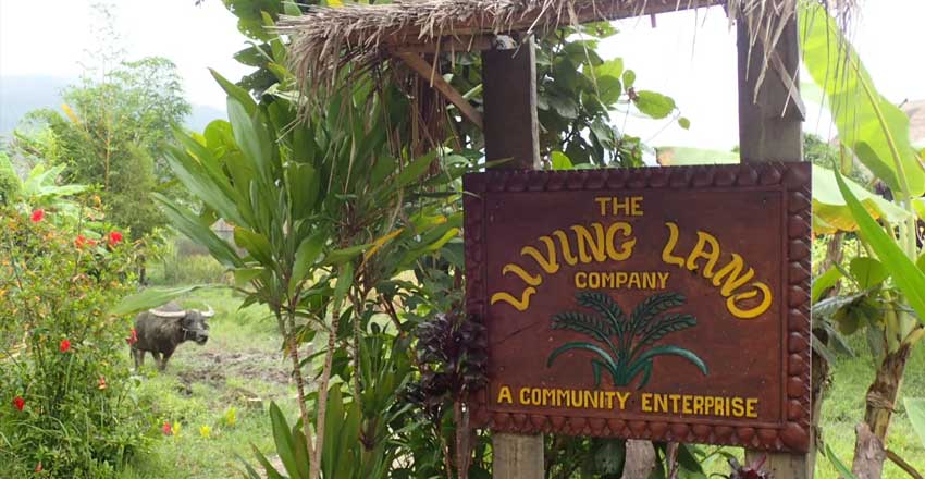 9The Living Land Company