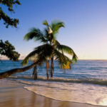 ساحل درختان نارگیل کیش؛ یکی از جذاب‌ترین سواحل جزیره جنوبی
