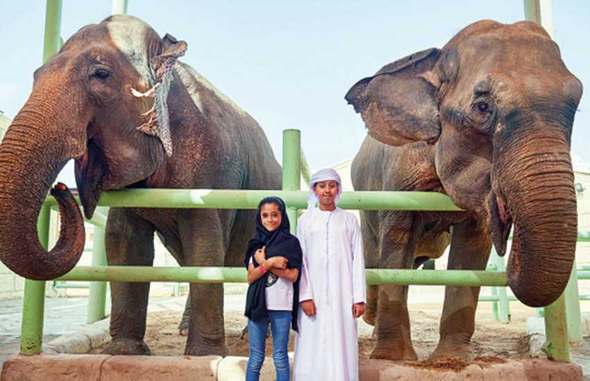 پارک وحش امارات - جاهای دیدنی ابوظبی