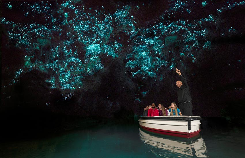 غارهای کرم شب‌تاب - عجیب ترین جاهای دیدنی جهان