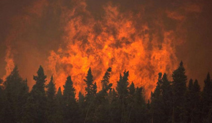 آتش سوزی در مراتع ایران