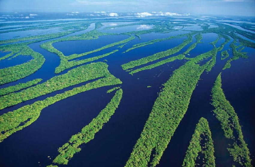 رودخانه و جنگل‌های آمازون - جاهای دیدنی برزیل