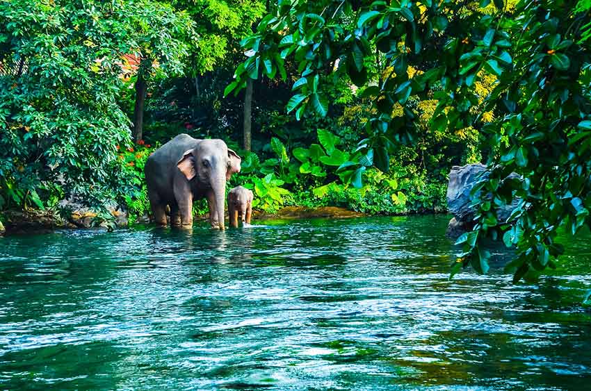 پارک ملی خوائو یای - سفر به تایلند