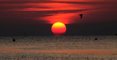 ساحل مرجان کیش در شب