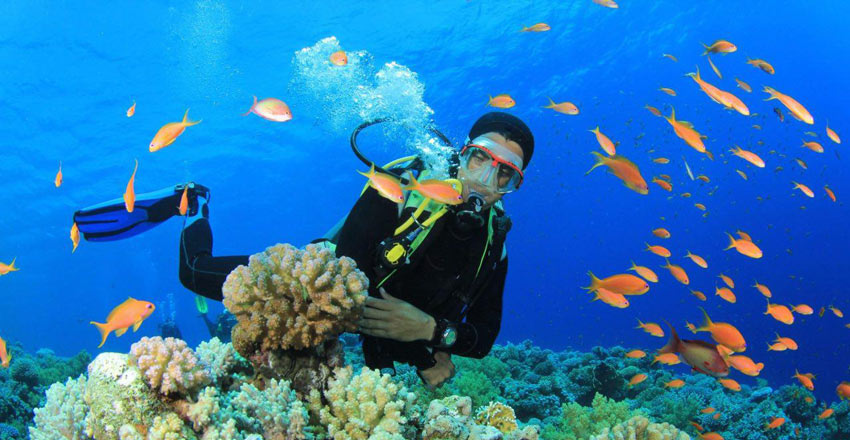 عکس خفن عکس ساحل مرجان کیش