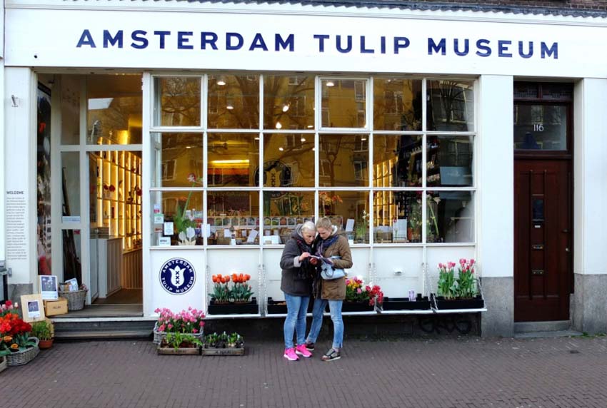 موزه گل لاله آمستردام هلند