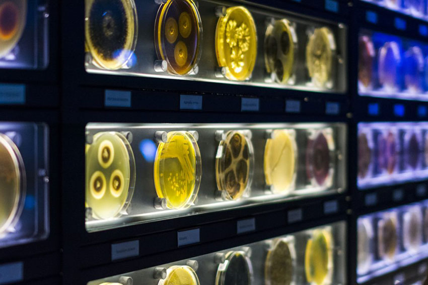 موزه میکروب آمستردام
