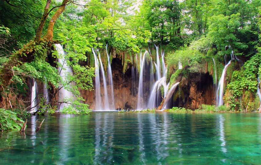 پارک طبیعی آبشار لاپاز کاستاریکا