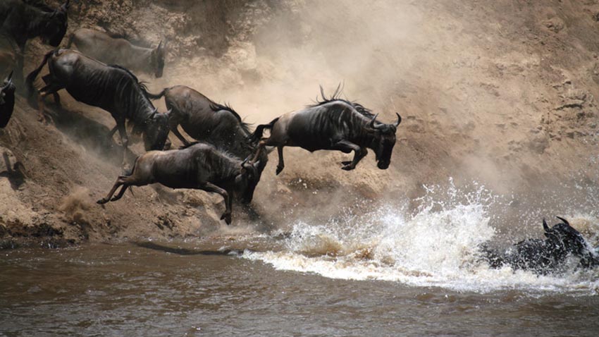 رودخانه مارا در کنیا