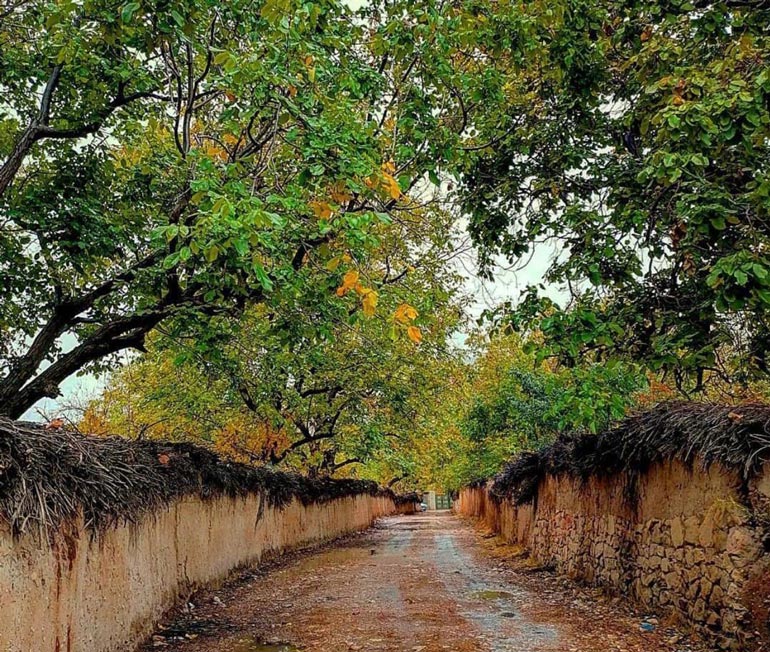 سفر به شیراز؛ هرآنچه که باید از این شهر بدانید 9 سفر به شیراز در تابستان