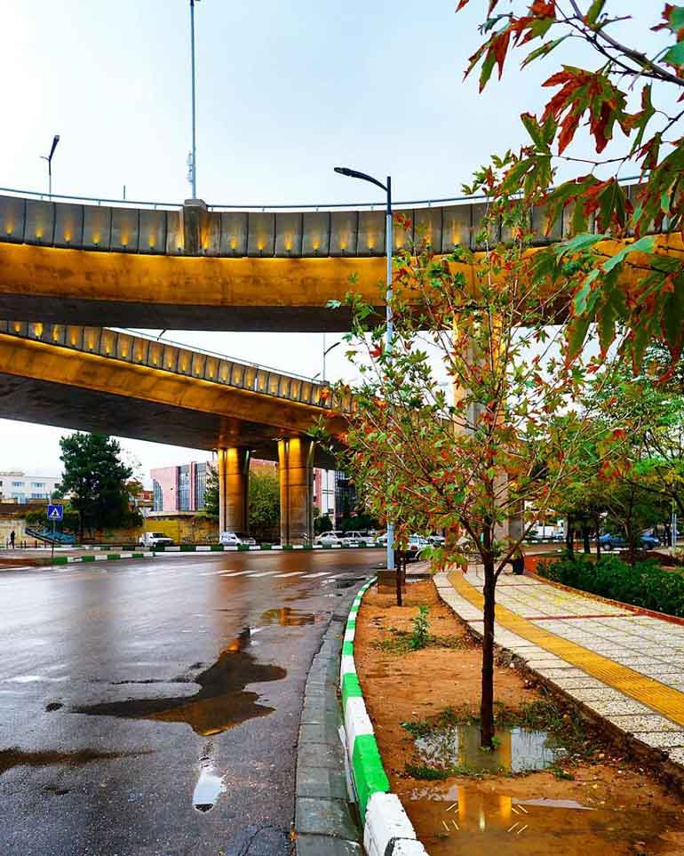 سفر به شیراز؛ هرآنچه که باید از این شهر بدانید 55 پل معالی آباد