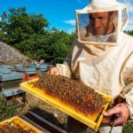 راهنمای سفر به اردبیل برای تجربه یک سفر خاطرهانگیز 54 سوغات سرعین؛ از مزههای خواستنی تا یادگاریهای ماندنی