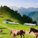 راهنمای سفر به ماسال و تجربه ناب شهر ییلاقی